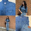 웨스턴라이트(Western Light) | 리바이스LEVI'S 여성 웨스턴데님셔츠로 가을 청청패션 완성하기