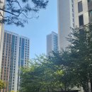 일등자이공인중개사사무소 이미지