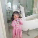 성유빌라 | 유은이의 두번째 해외여행, 베트남 (다낭&amp;호이안) 3일차 - 호이안으로!