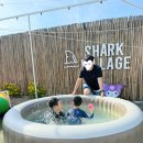 샤크빌리지6 이미지