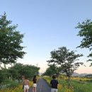 원주굽이길 7코스 태조왕건길 네이버블로그