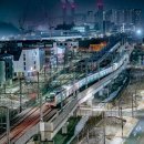 산전3호
