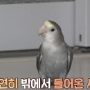 학계농장 Daum카페