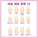 지안네일 이미지