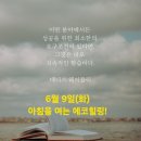 에코건강