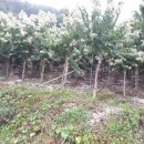 사봉농장 이미지