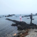 등대장여관 이미지