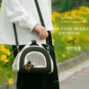 햄스터숄더 이미지