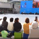 담뜰