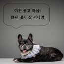 풍경식당 | 낙동강 풍경과 함께 즐기는 늦더위 몸보신, 문양역 강변풍경식당 어탕수제비 후기