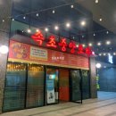 [내돈내산] 속초중앙포차 방문 후기 | 오징어볶음, 감자채전 맛집, 동해소주까지 솔직 리뷰