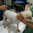 이성준동물병원 이미지