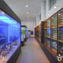 창조자연사박물관 티스토리