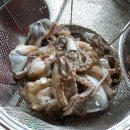 시락 소포마을 이미지