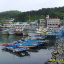 대포항횟집 - 춘천시 성심로 37 | 대포항횟집