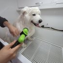 마코청주 이미지
