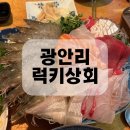럭키테이블 - 관악구 솔밭로4길 10 | 광안리 횟집 생새우회 럭키상회 후기