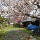 아름다운밀양농장 이미지