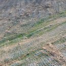 세창태양광발전소 이미지