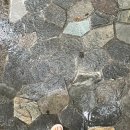 에코 당구장 | 부산 서면 북카페 열람실 103호 후기ㅣ공유일기장이 주는 따뜻한 위로
