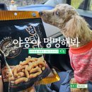 야옹아 멍멍해봐(신대점) 이미지