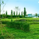 Good Forest 이미지