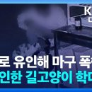 여시들아 천안 경찰서가 일 좀 하게 사건반장 제보 한번씩만 해주라..내가 내용도 다 써놨어 복붙만 해줘 이미지