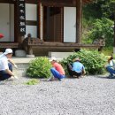 화순청소박사