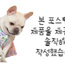뚜드림 부산점 네이버블로그