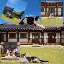 운정루