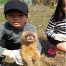 필자농장 이미지