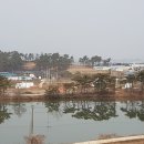 장암농협 농산물유통센터 이미지