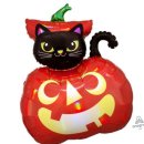 파티앤 캣 이미지