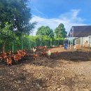 신선팜스 이미지