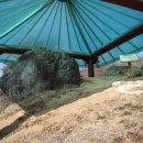 영풍월호리마애석불좌상 이미지