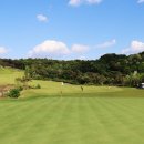 Top 스크린골프존 이미지