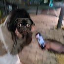 노은공중화장실 이미지