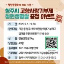 생명의 시작 | 2025 청원생명축제 다녀온 솔직 방문 후기 🌾🎶