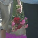 에스콰이어 카카오 검색결과