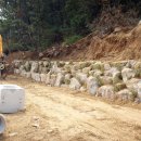 삼광수지 이미지