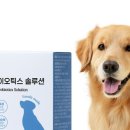 덴탈하우스 이미지