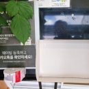 낙지랑갈비랑 | [300도씨해물갈비] 을왕리맛집 해남 시래기와 거대 낙지의 비주얼쇼크 주차정보 메뉴추천 솔직후기