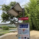알파울산청량점 | [울산여행] 태화강 국가정원 십리대숲 대나무숲 (ft.사계절 이국적 정취가 아름다운 곳)
