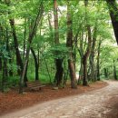 치악산막국수 - 원주시 신림황둔로 145 | 치악산막국수