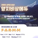 양지-20 이미지