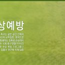 [상일정형외과 건강칼럼] 축구와 부상예방 이미지