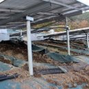 멧돼지 태양광발전소 이미지