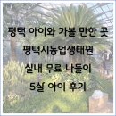 (주)풍진스마트허브 | 겨울 평택 아이와 가볼 만한 곳｜평택시농업생태원 실내 무료 나들이 5살 아이 후기