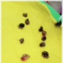 산들숲어린이집 이미지