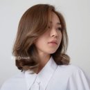 제오헤어 마포점